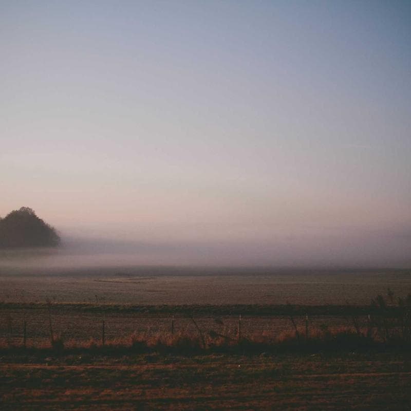 Cushioned Dining Table thumbnail 2