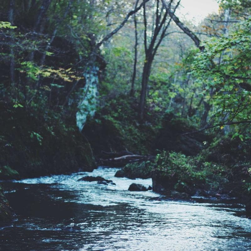 Fast Charging Phone Holder thumbnail 3